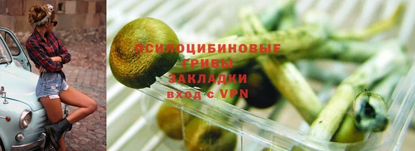 тгк Нязепетровск
