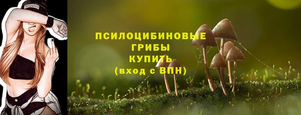 mix Медногорск