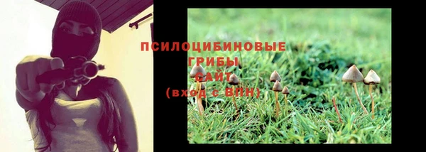 скорость Няндома