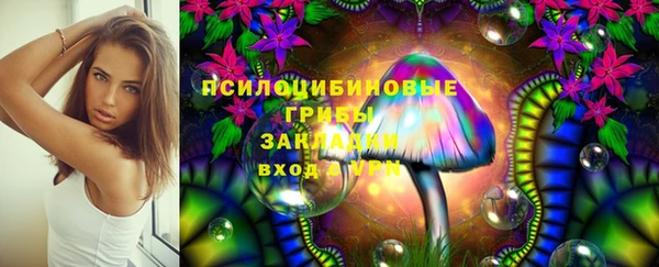мдма Медвежьегорск