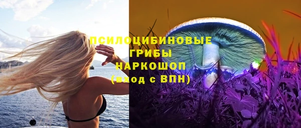 скорость Няндома