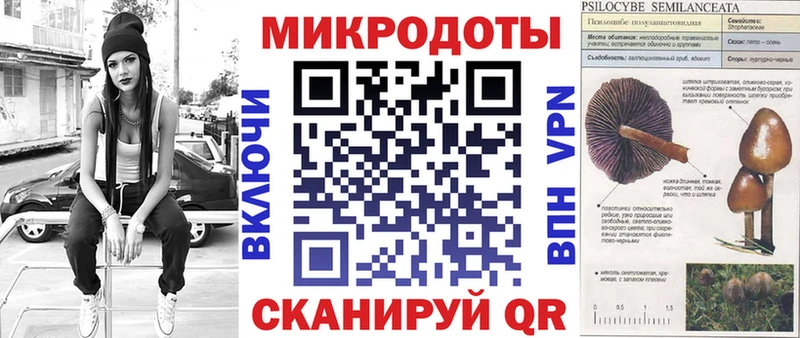 мориарти наркотические препараты hydra ссылка Нариманов Псилоцибиновые грибы Psilocybe